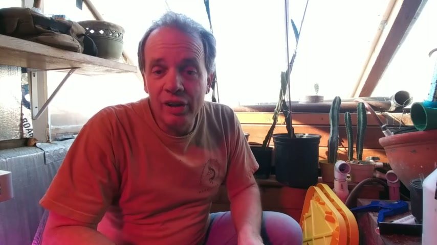 Michael in his greenhouse, explaining a wicking bed build